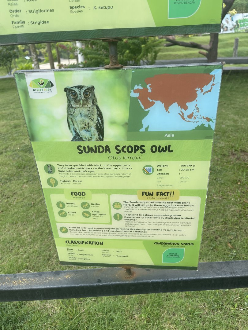 bird show - sunda scops owl signage - aviary park