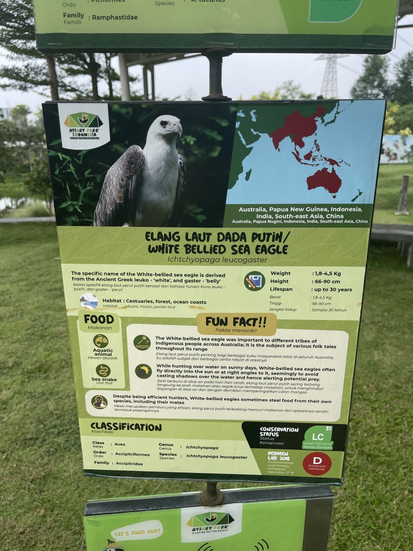 bird show - white-bellied sea eagle signage - aviary park
