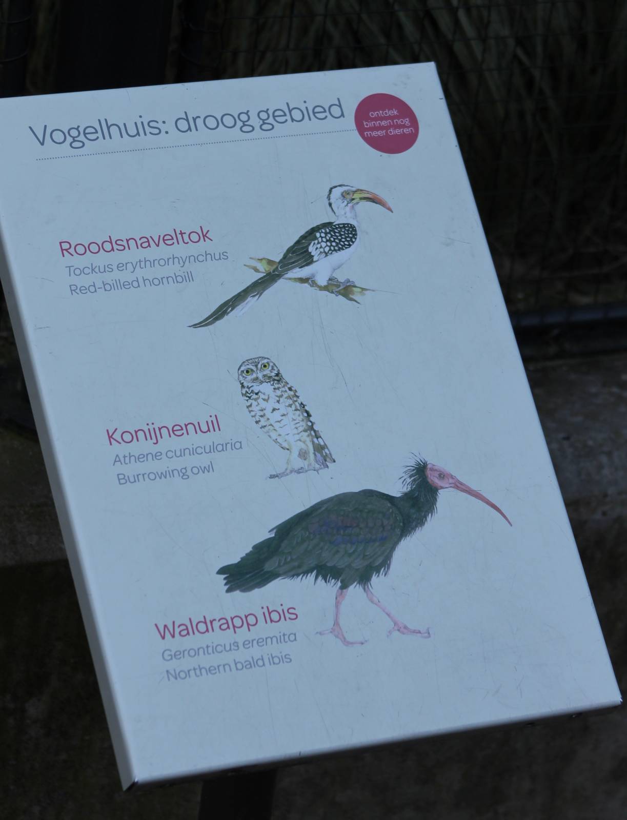 Bird sign outside aviary arid area