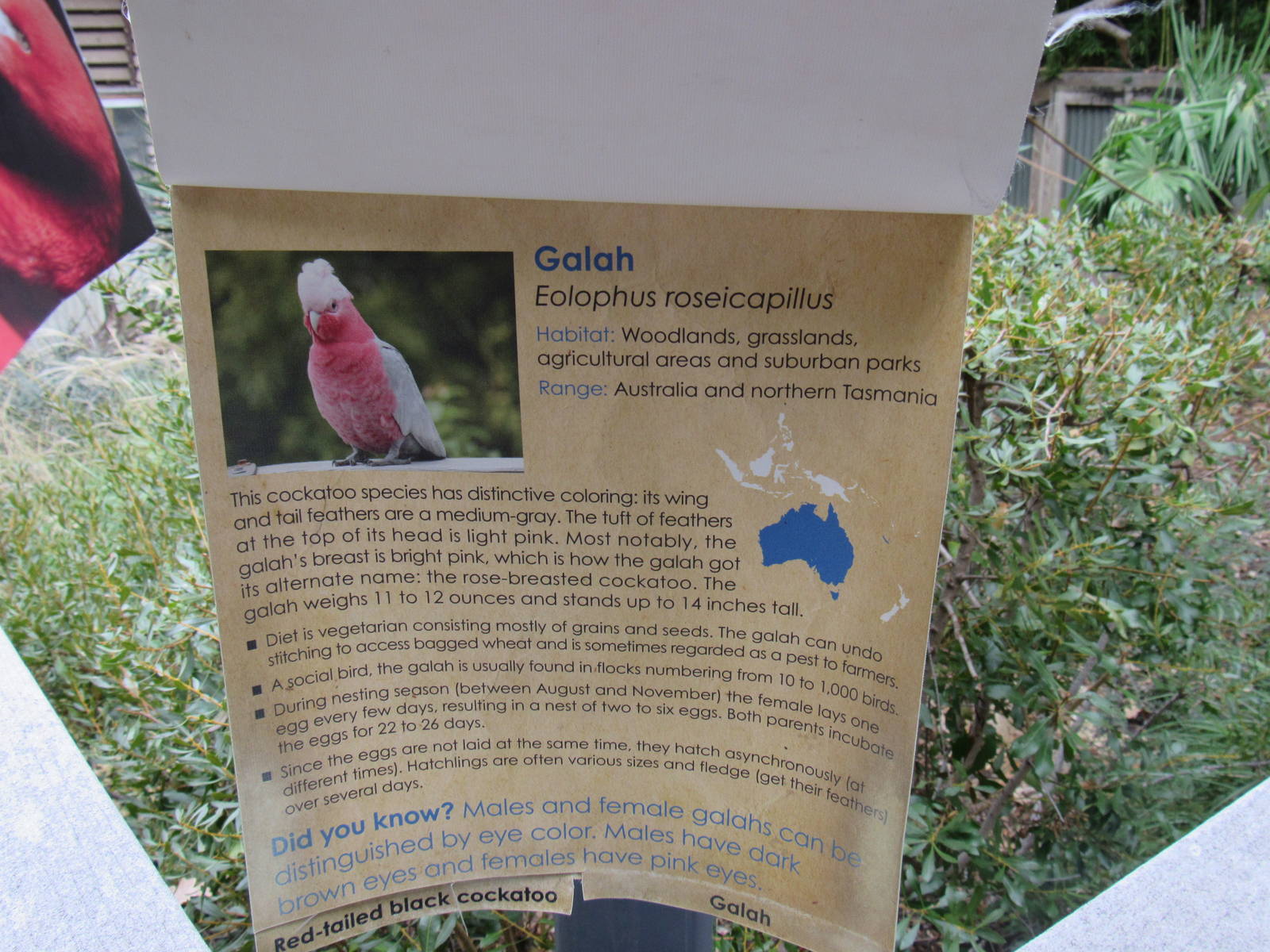 Bird Signage Example