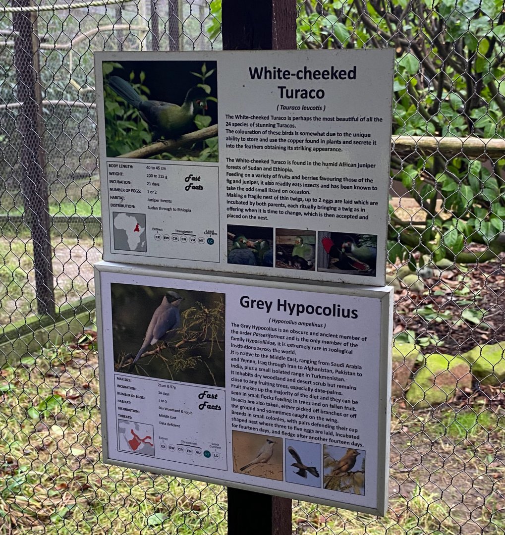 Bird signage - Grey Hipolius, Hamerton, UK