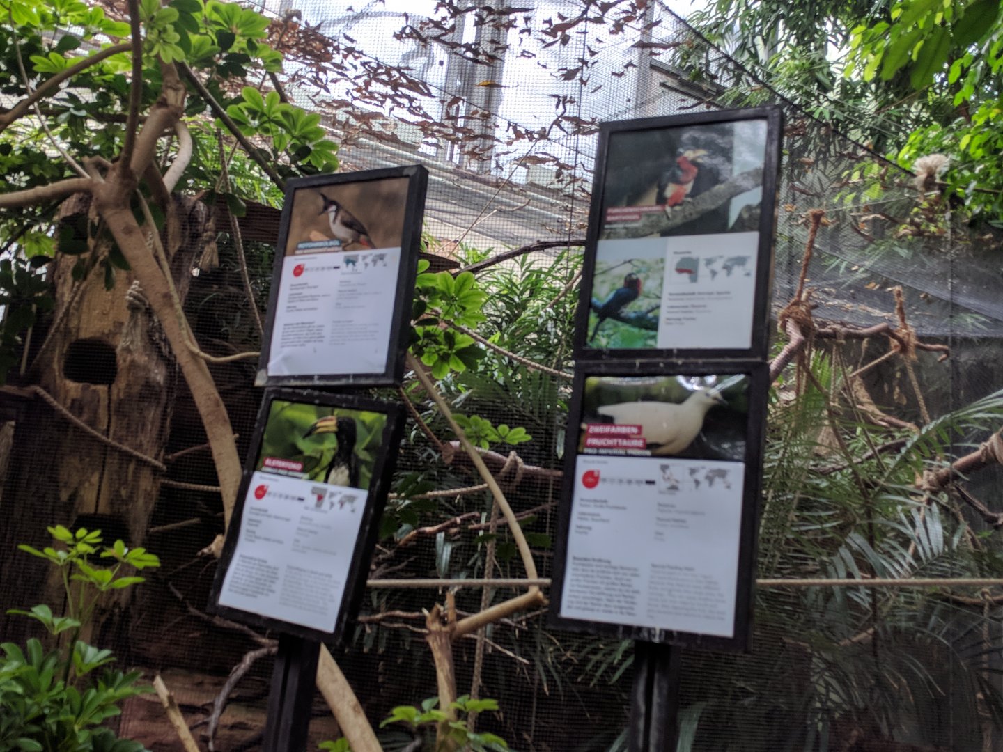 Bird Signage  Inside of the Great Apes Building