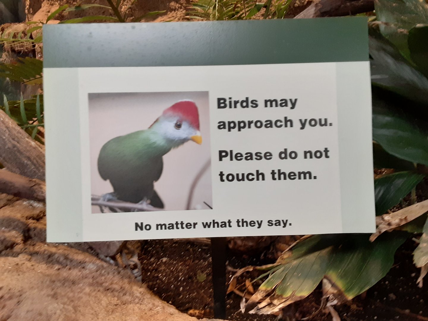 Bird Signage