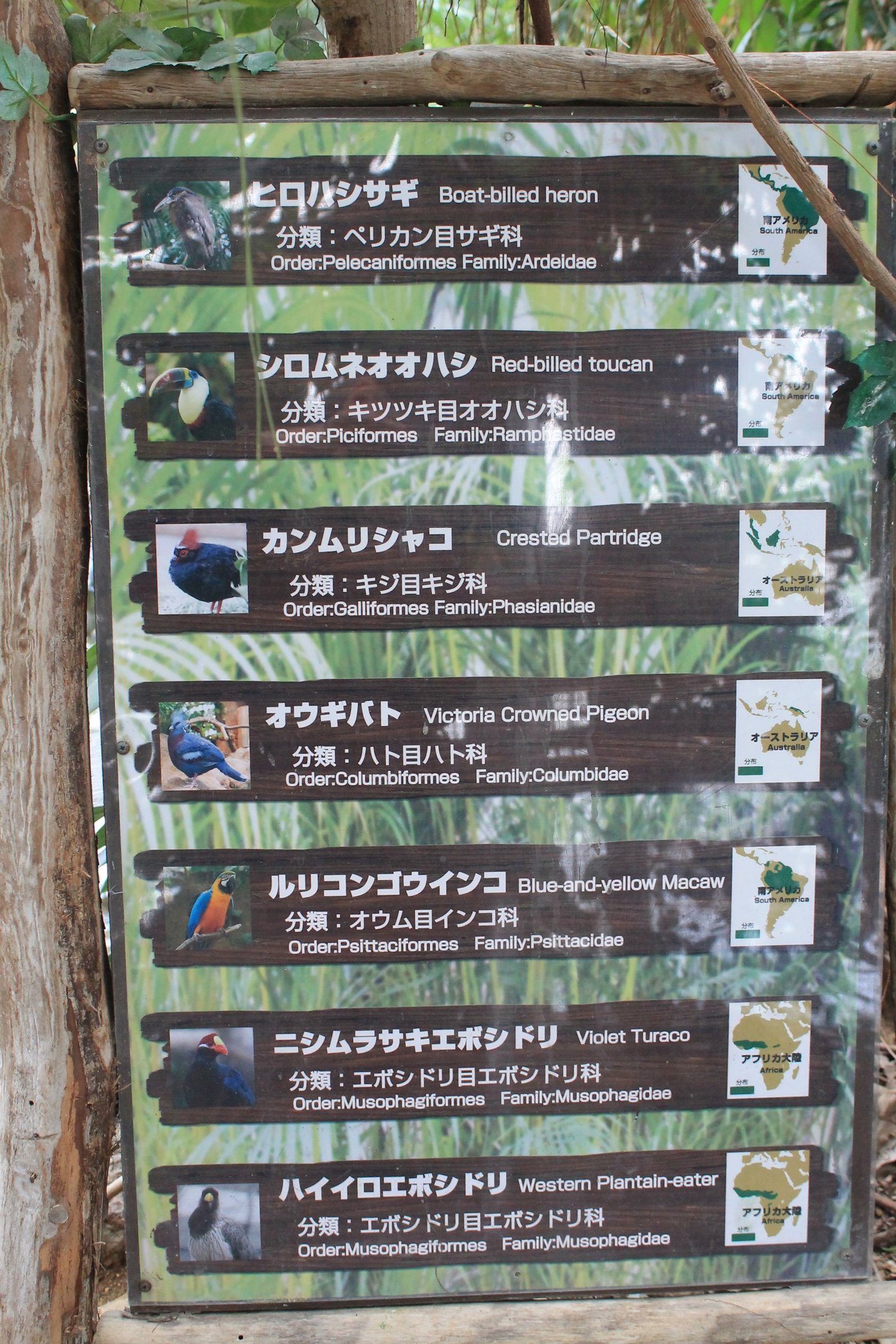 Bird signage