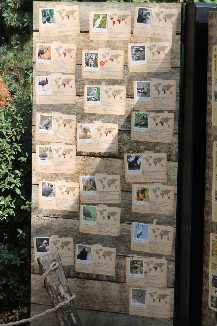 Bird-signs at the Buffalo-aviary
