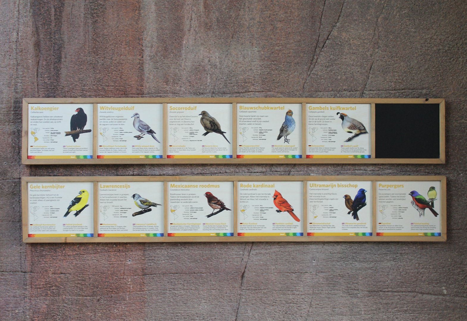 Bird-signs Burgers Desert