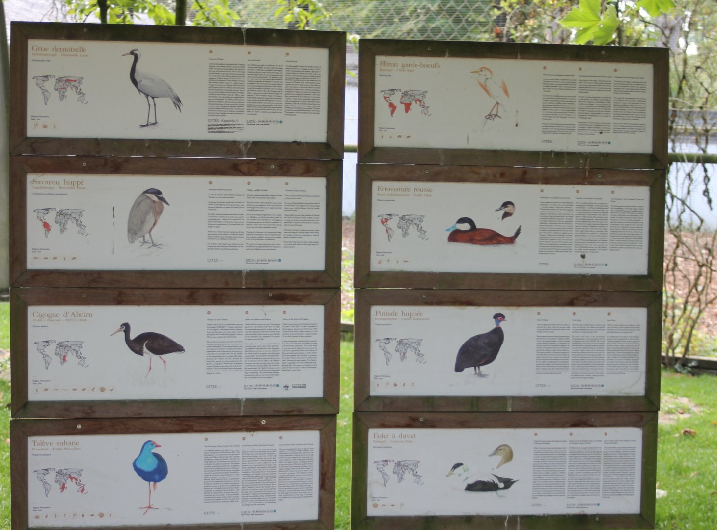 Bird-signs Free-flight aviary