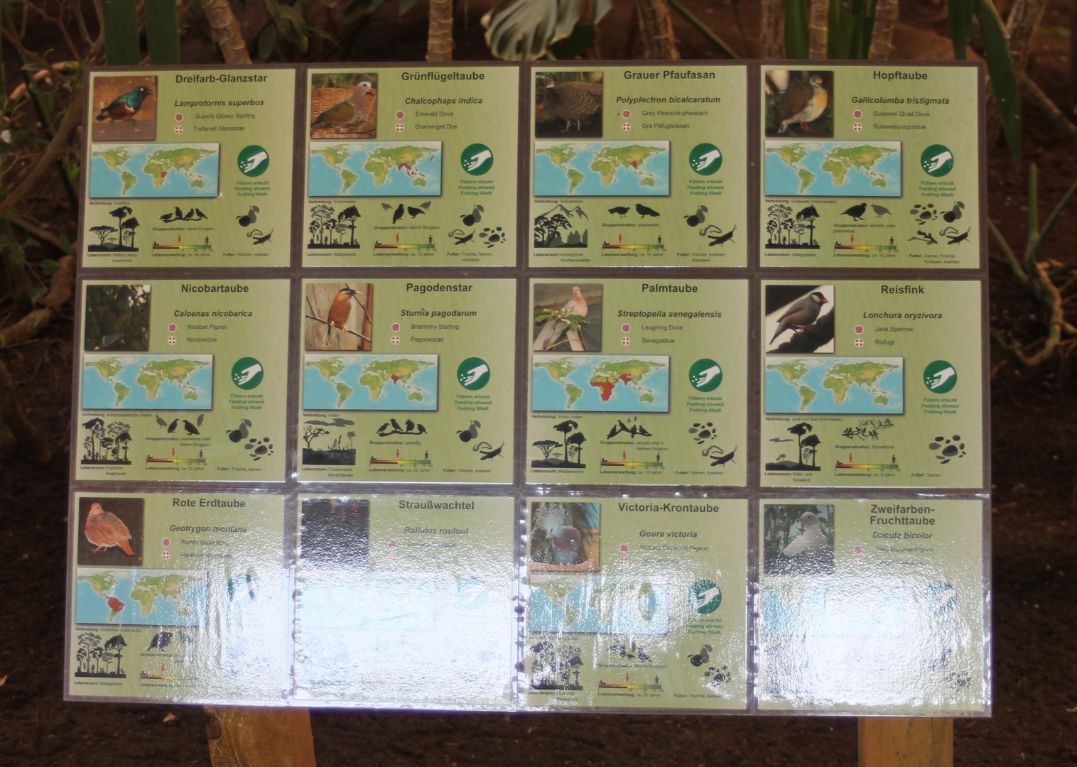 Bird-signs Tropical Hall