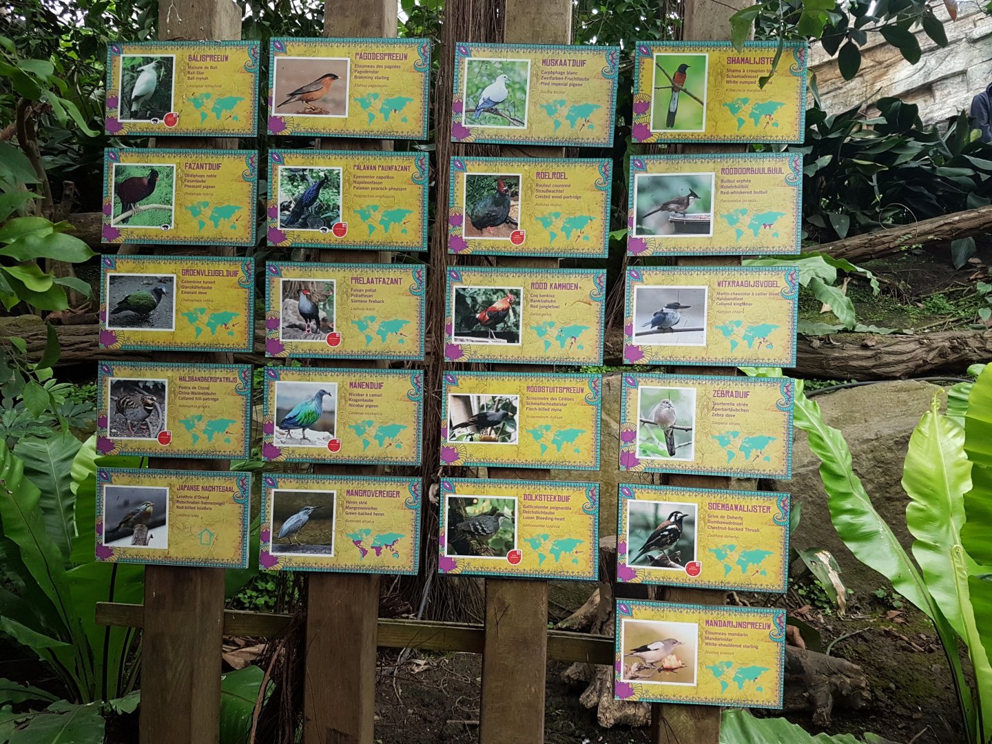 Bird-signs Tropical House