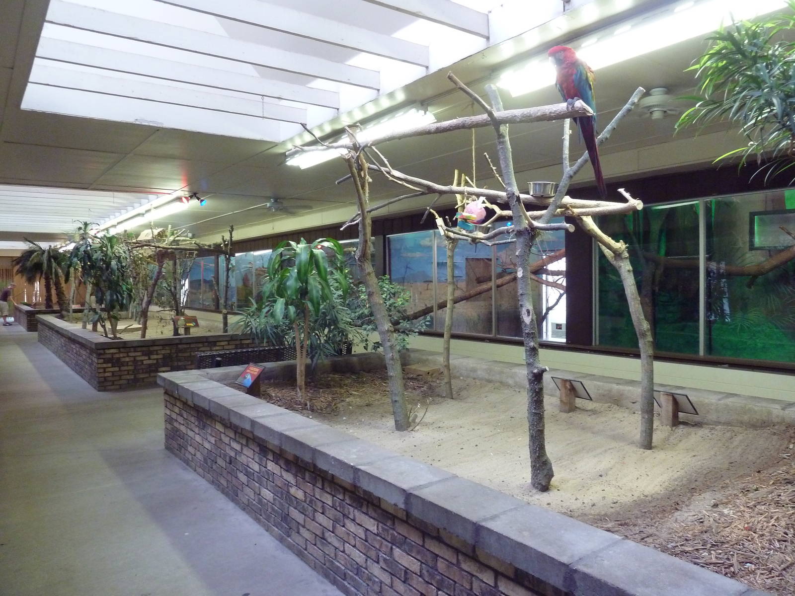 Bird + Small Animal Building