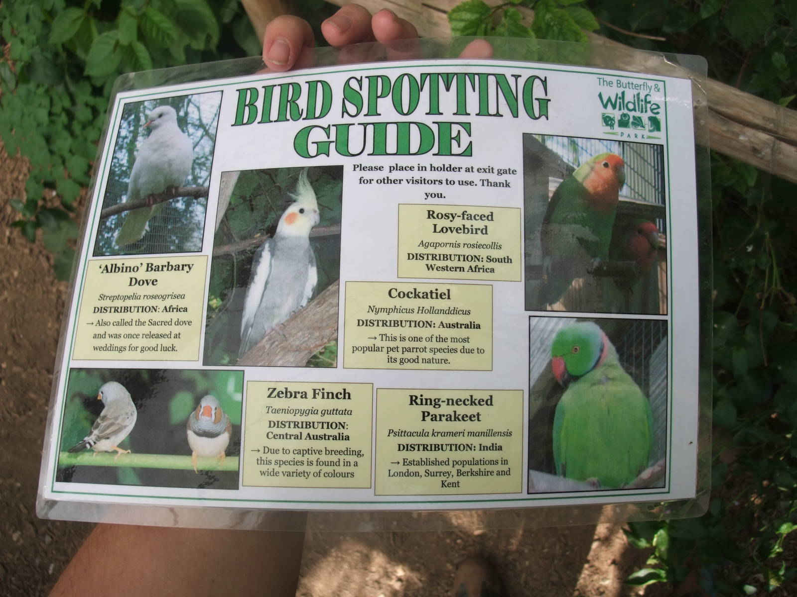 Bird Spotting Guide at Long Sutton 25/04/11