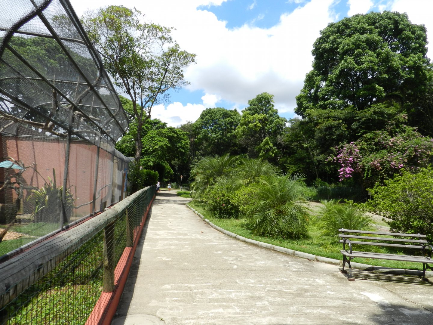 Bird square 1 - Belo Horizonte zoo