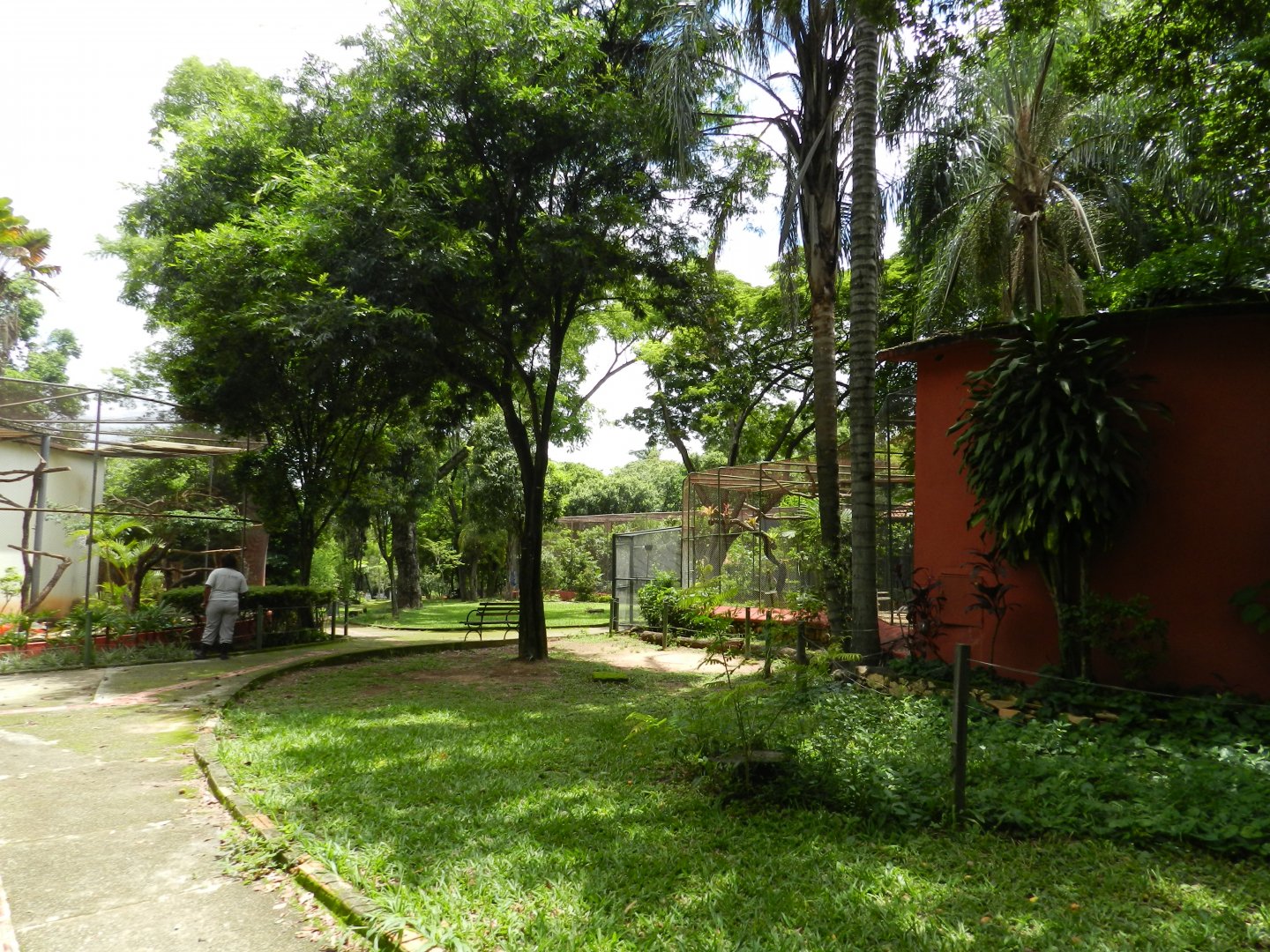 Bird square 2 - Belo Horizonte zoo
