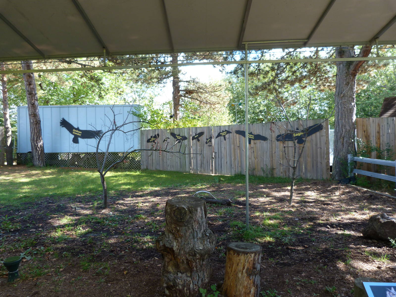 Bird Stage Show Area