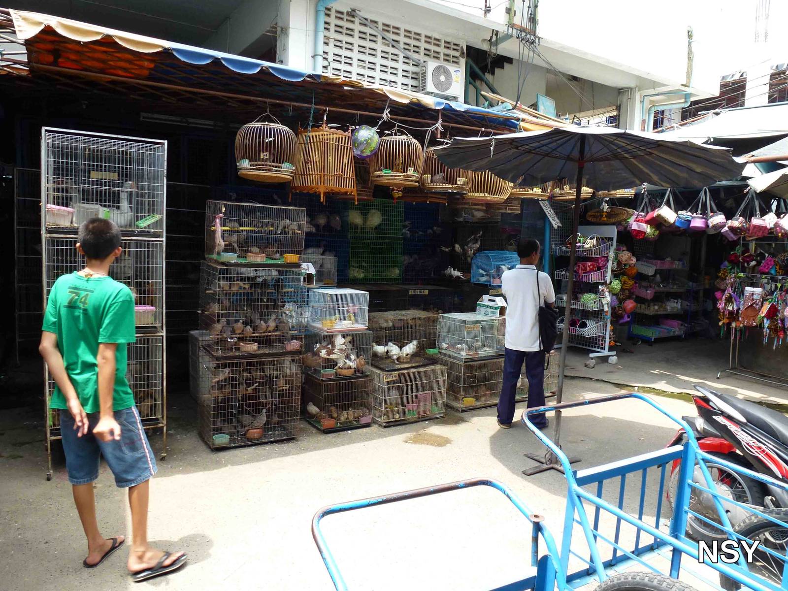 Bird stall - Chatuchak market, June 2013.