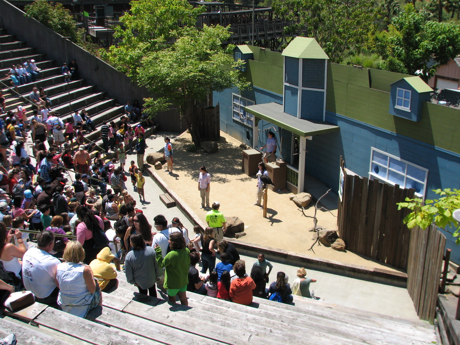 Bird Theater - Show Stage