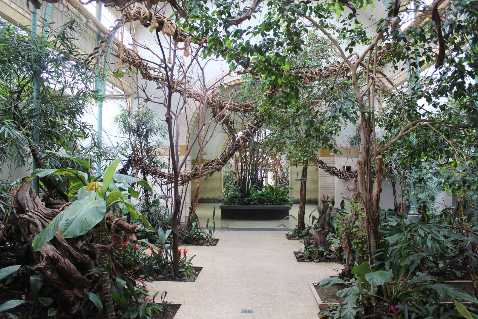 Bird & Tropical House