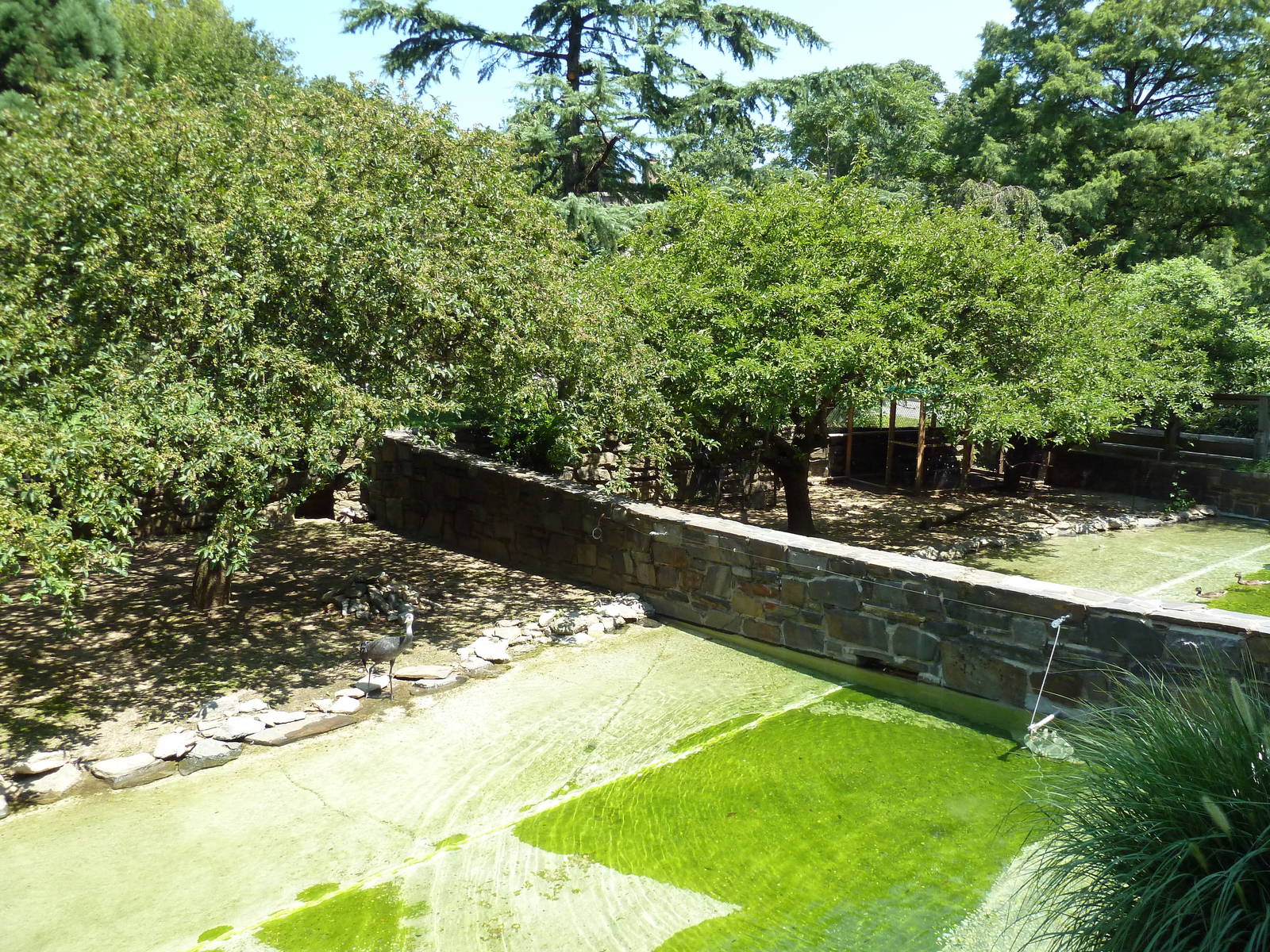 Bird Valley - Waterfowl Exhibits