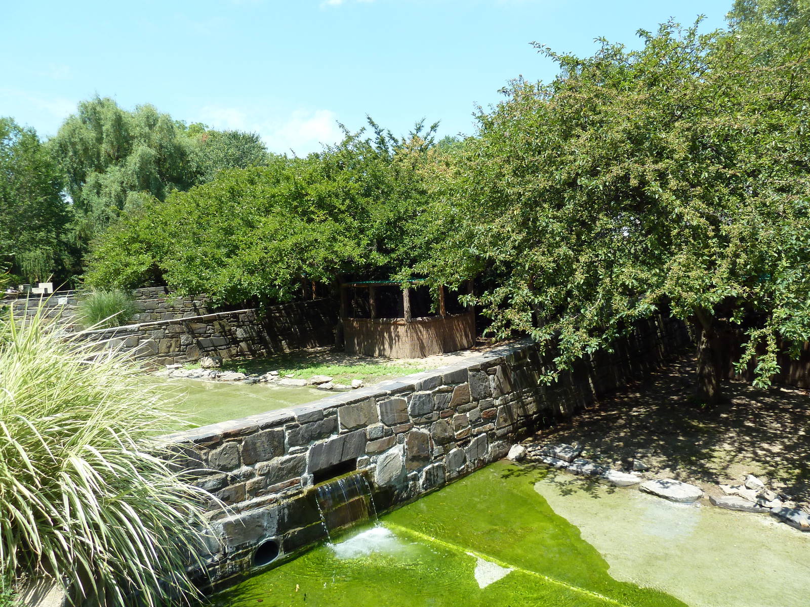 Bird Valley - Waterfowl Exhibits