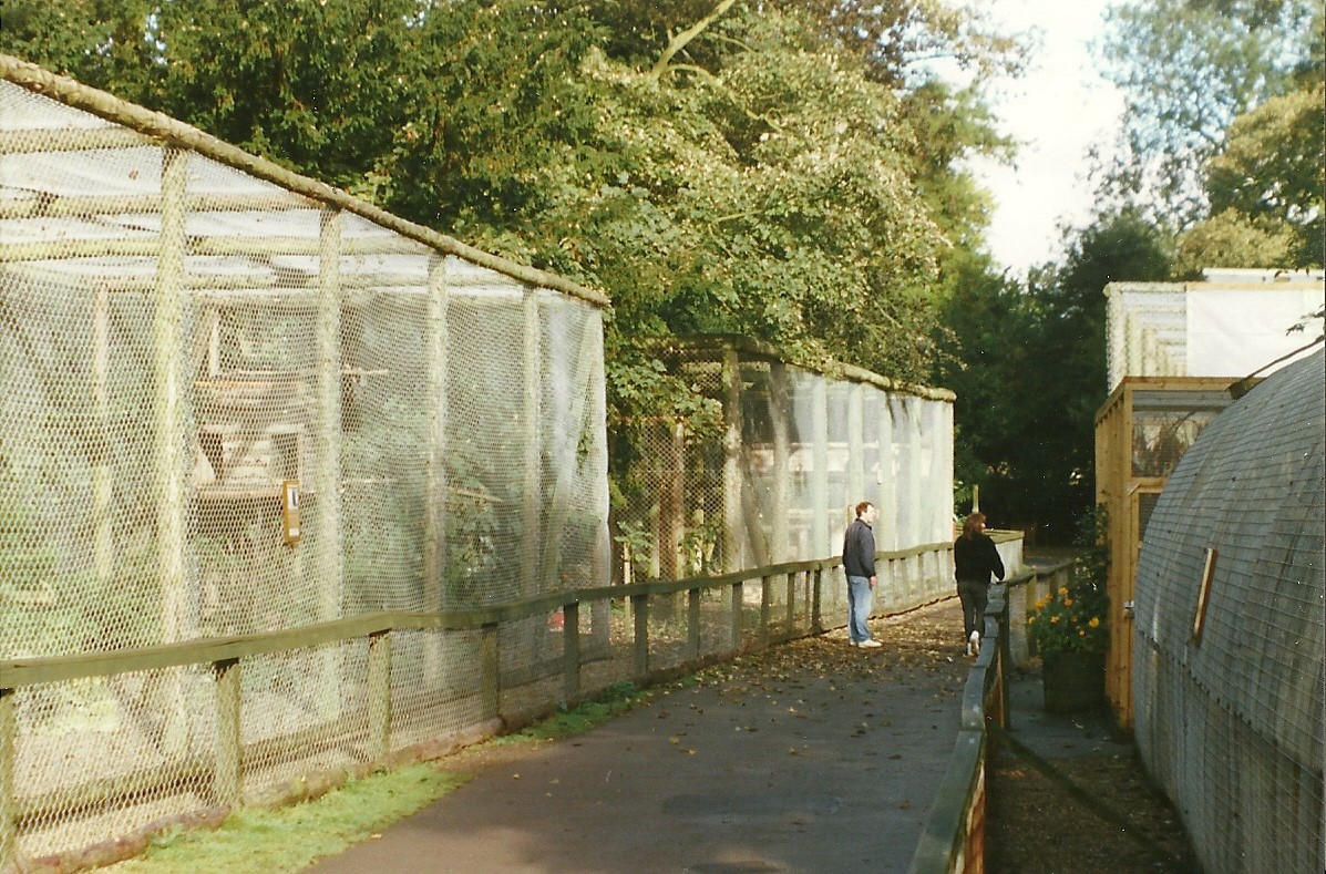 Bird Walk 10th October 1998