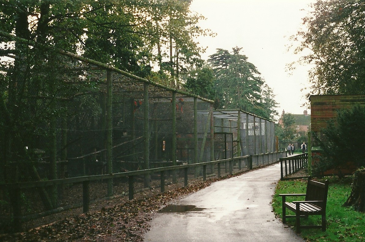 Bird Walk 23rd October 1999