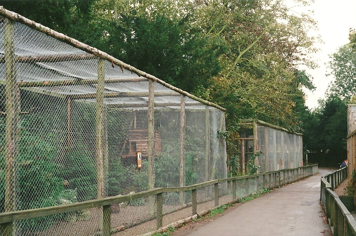 Bird Walk 23rd October 1999