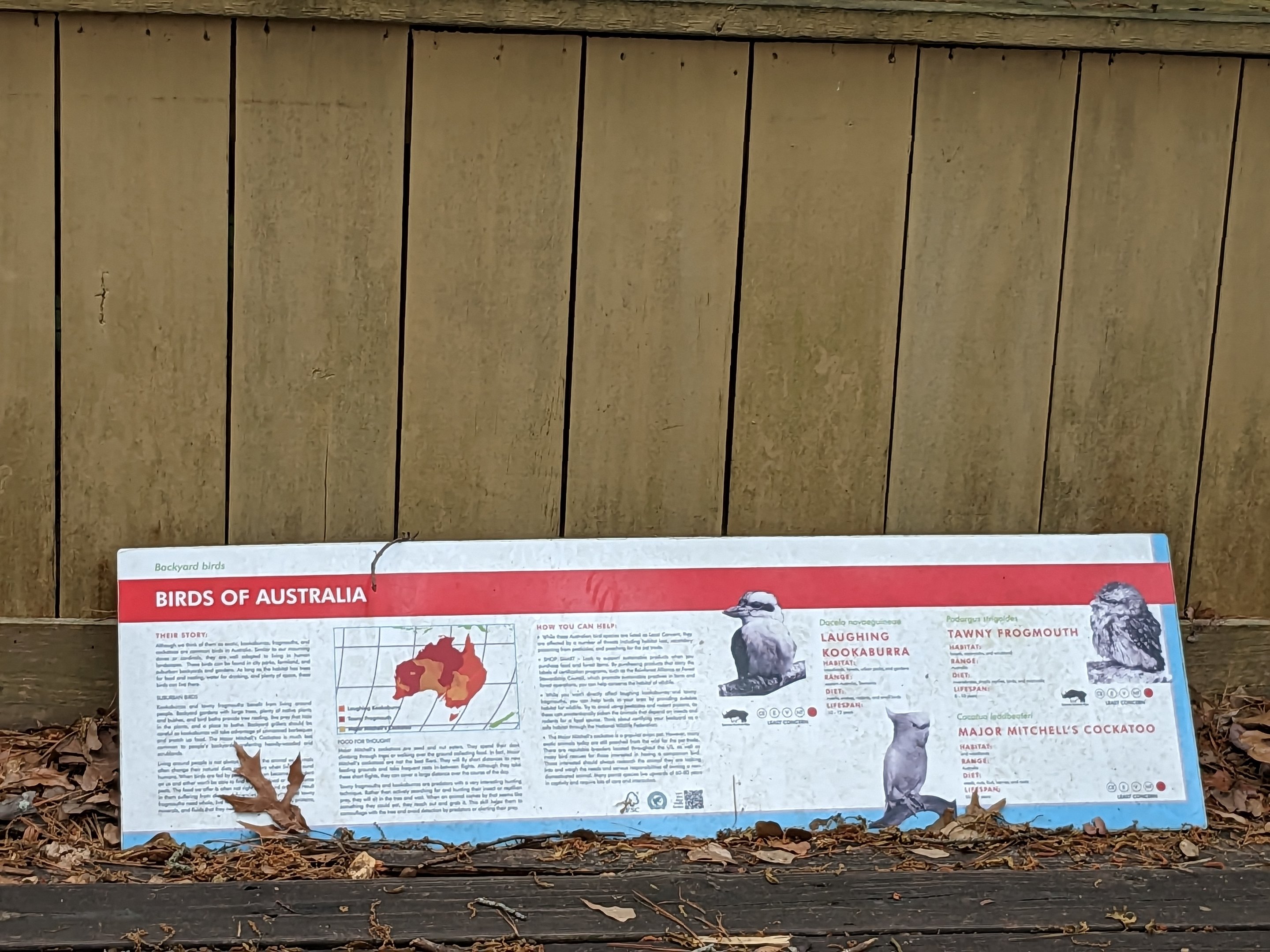 Bird Walk - Birds of Australia