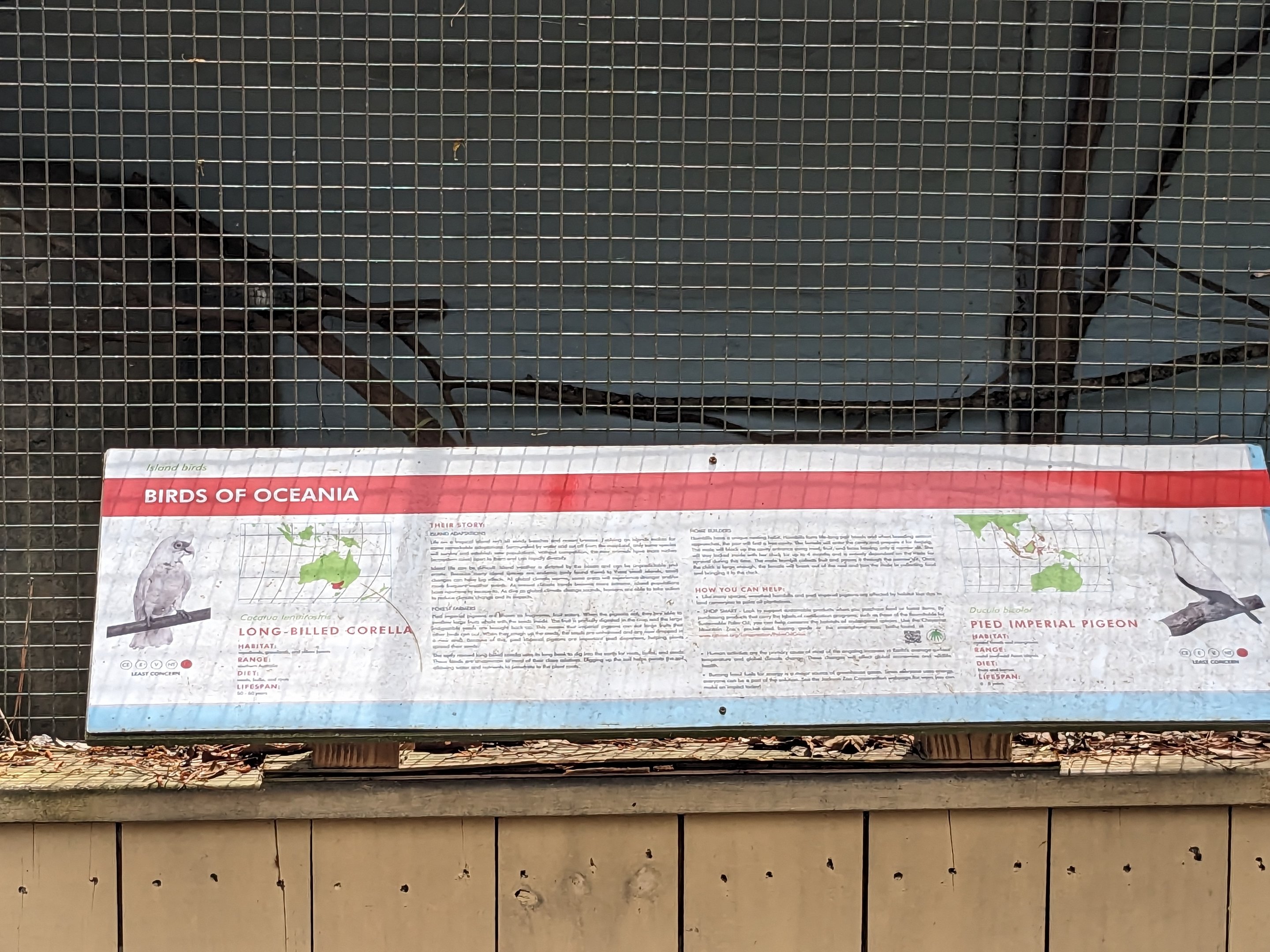 Bird Walk - Birds of Oceania aviary