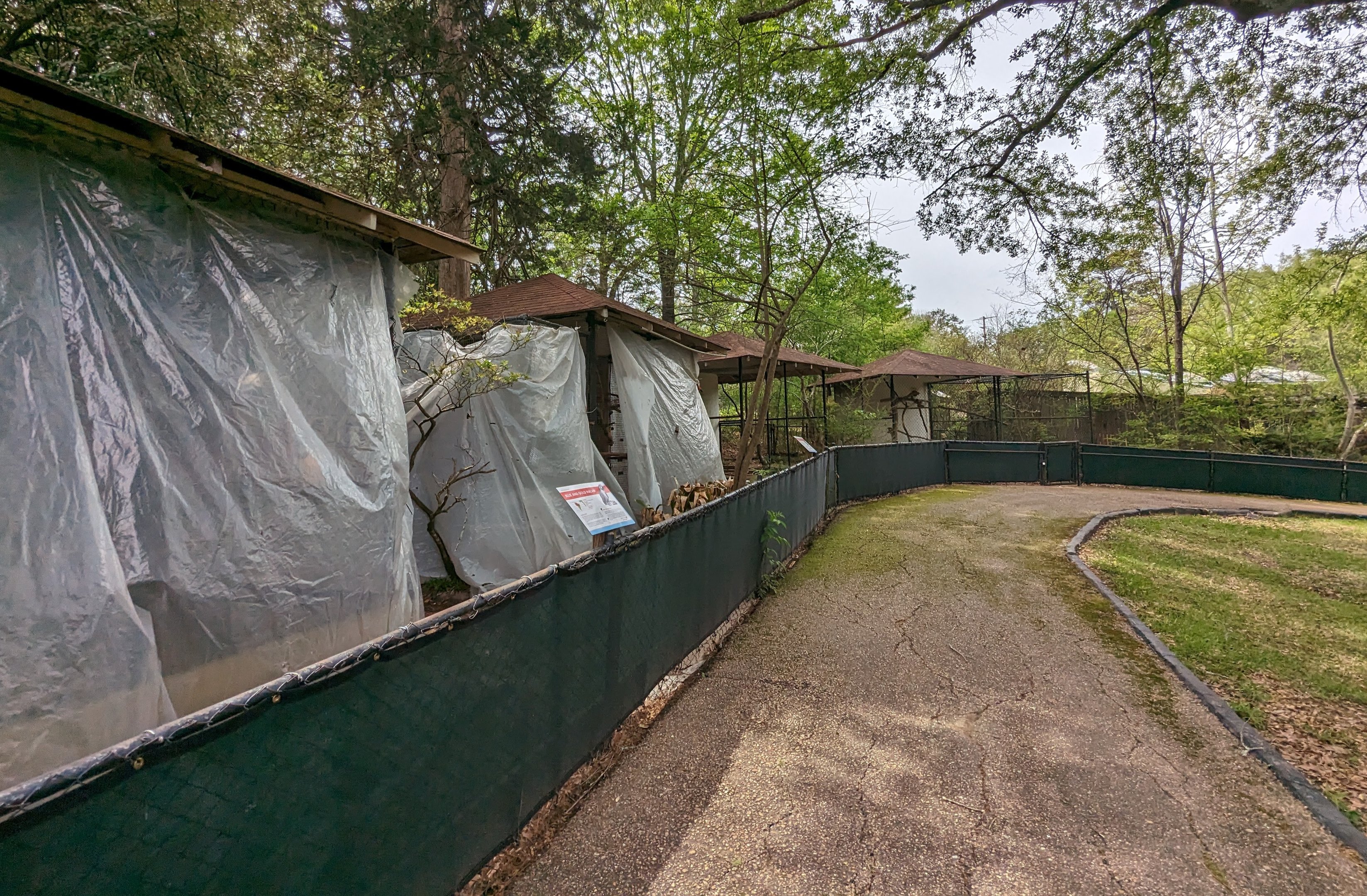 Bird Walk - exhibit row