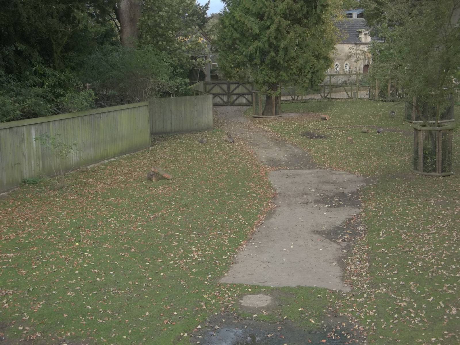 Bird Walk memories, 27th October 2014