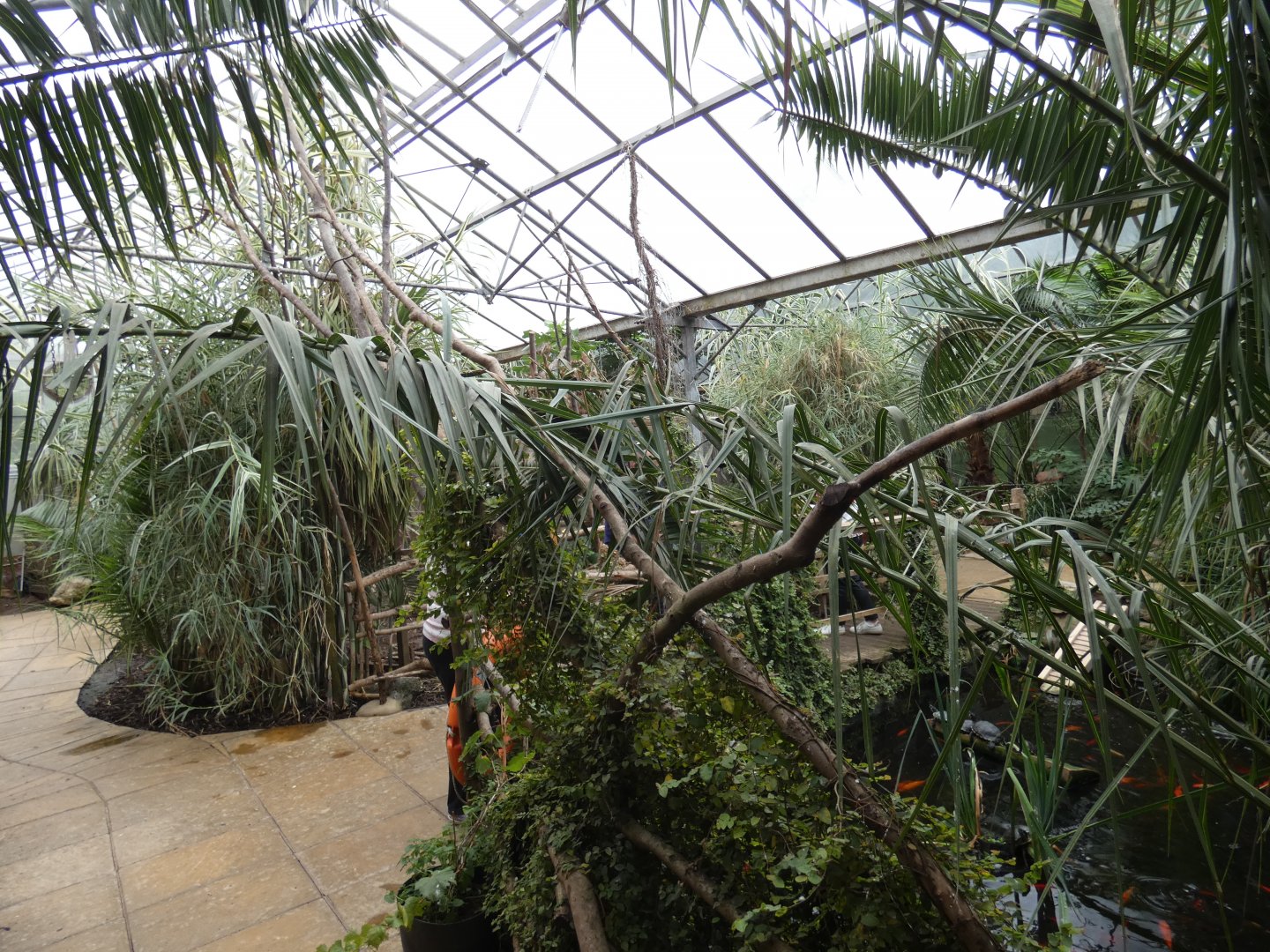 Bird walk-through area