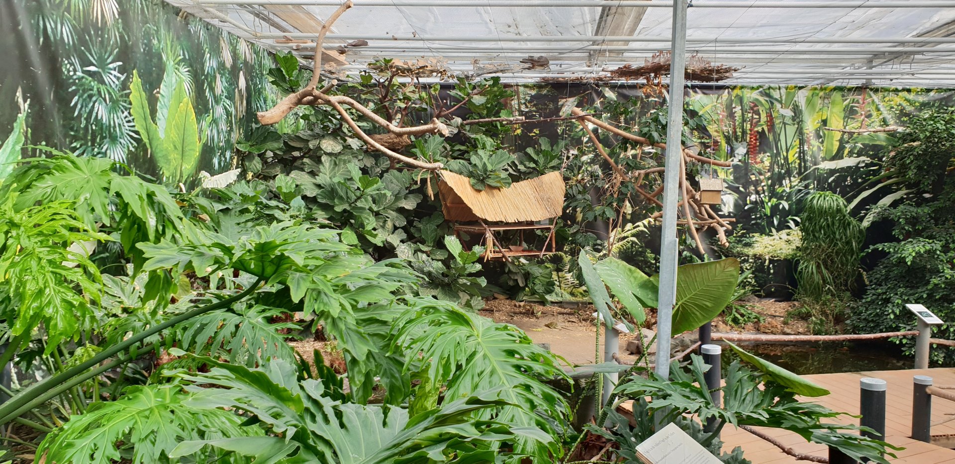 Bird walk-through enclosure