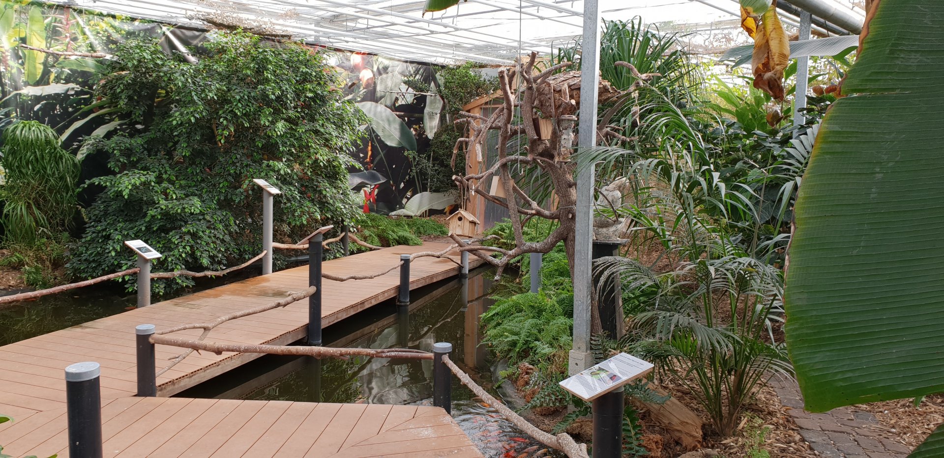 Bird walk-through enclosure