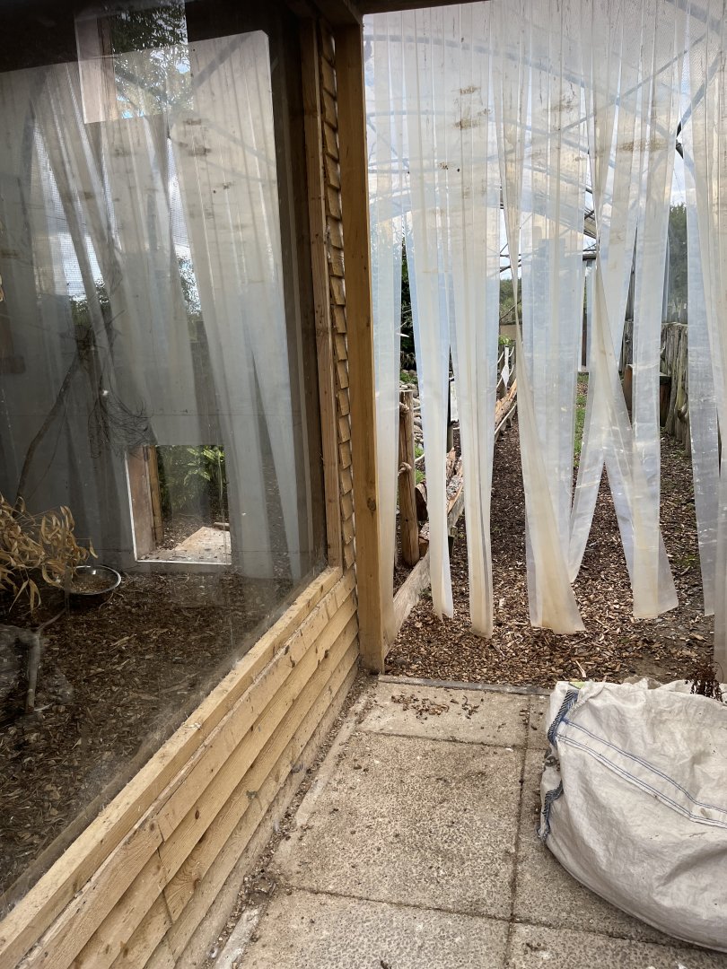 Bird walkthrough indoors (closed due to bird flu) 1.9.25