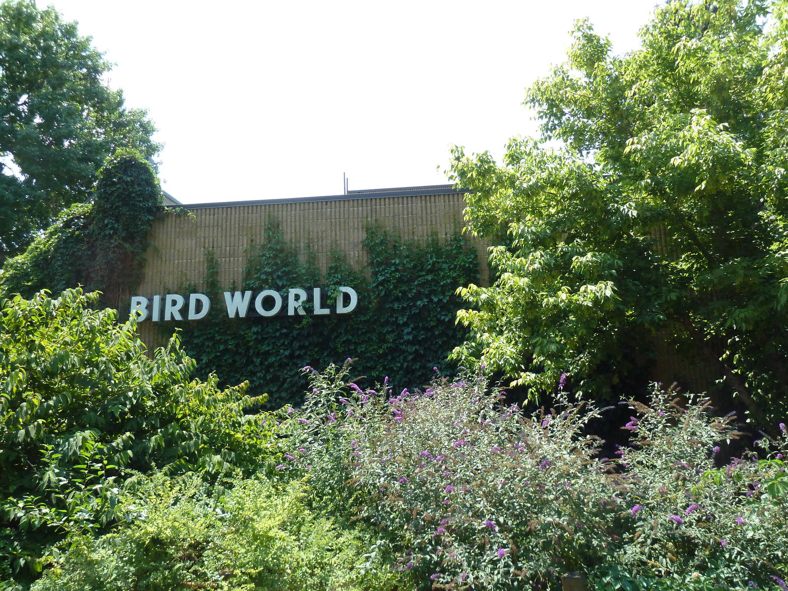 Bird World - 1975 Building