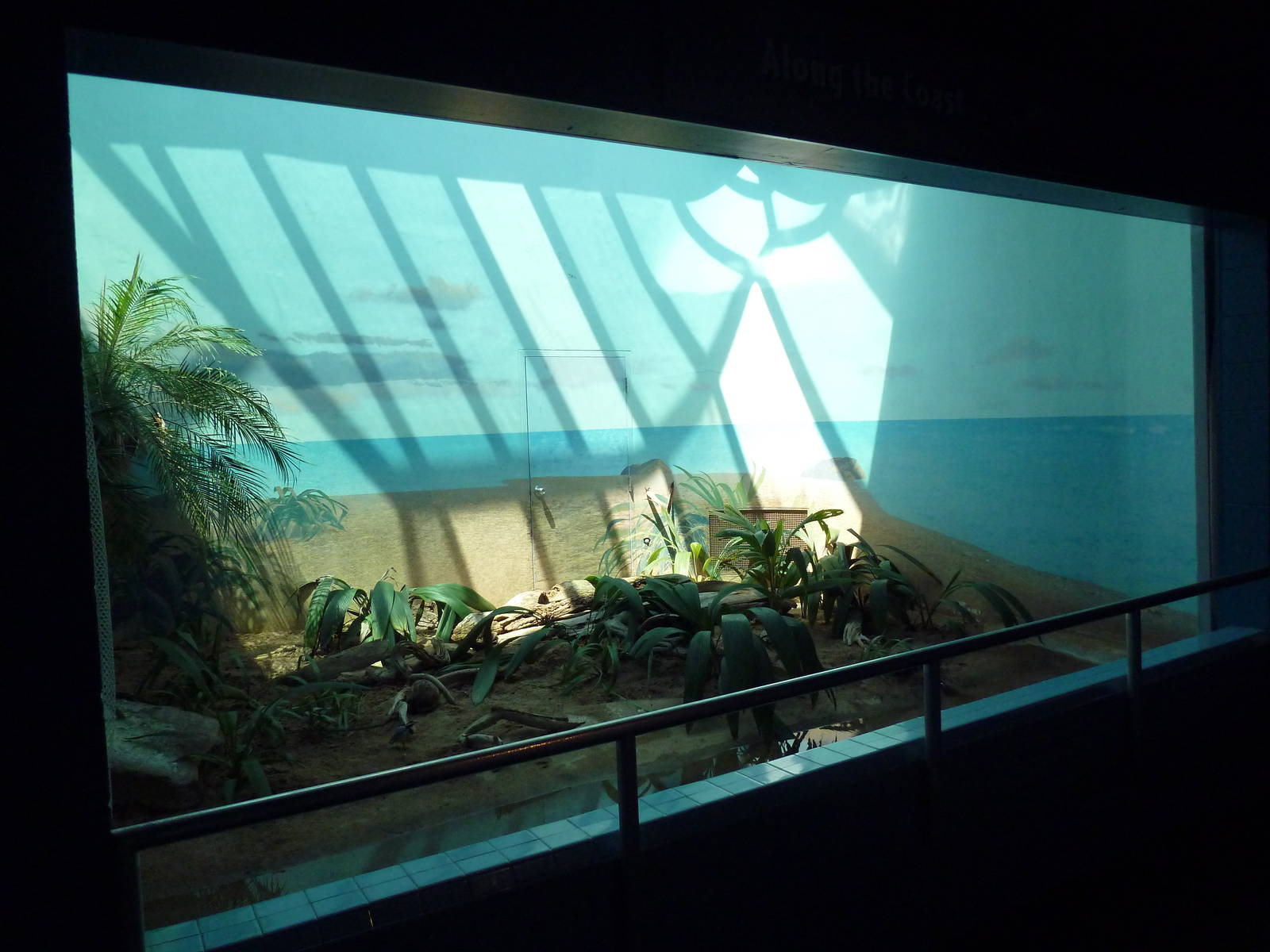 Bird World - Egyptian Plover Exhibit