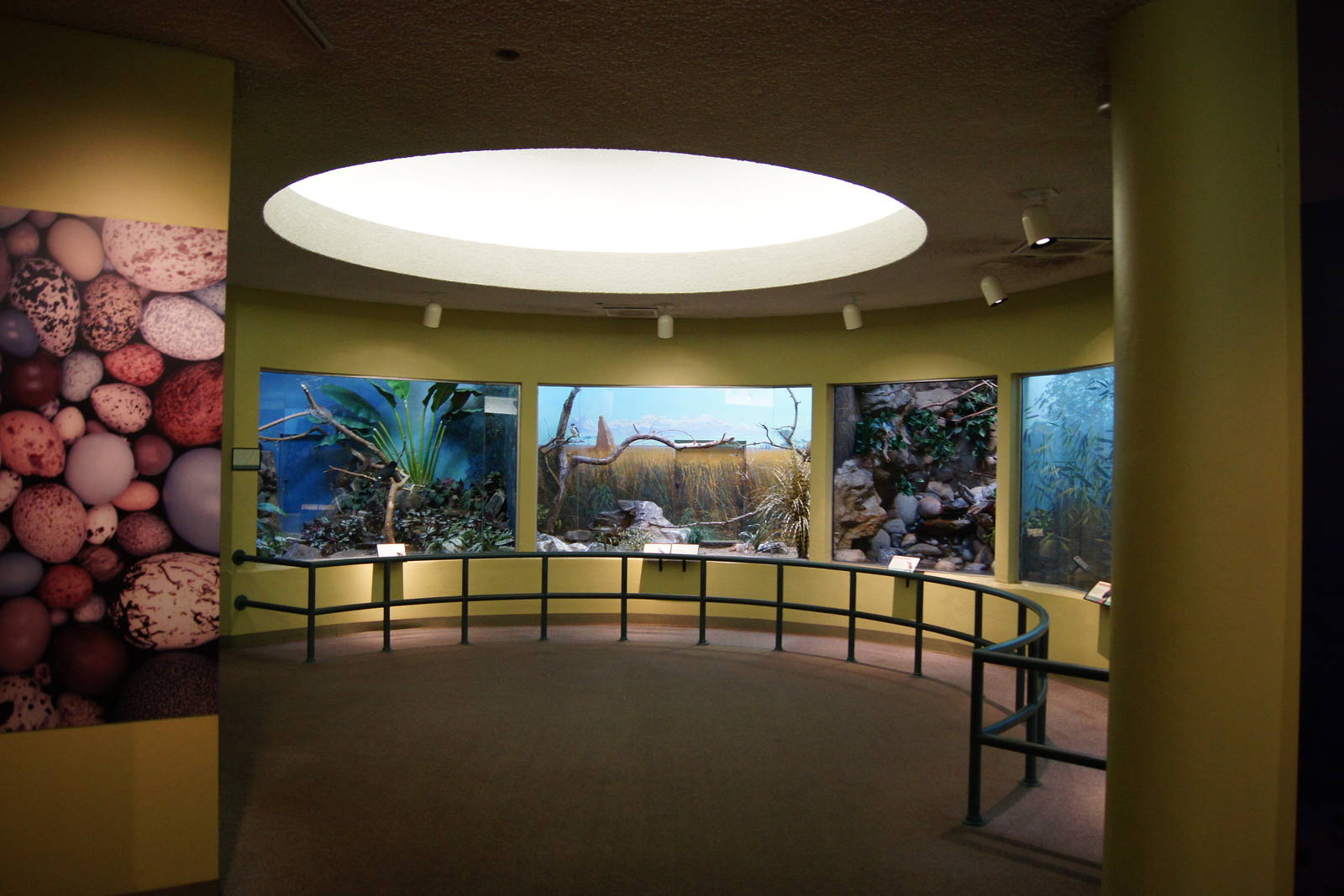Bird World Entrance Hall
