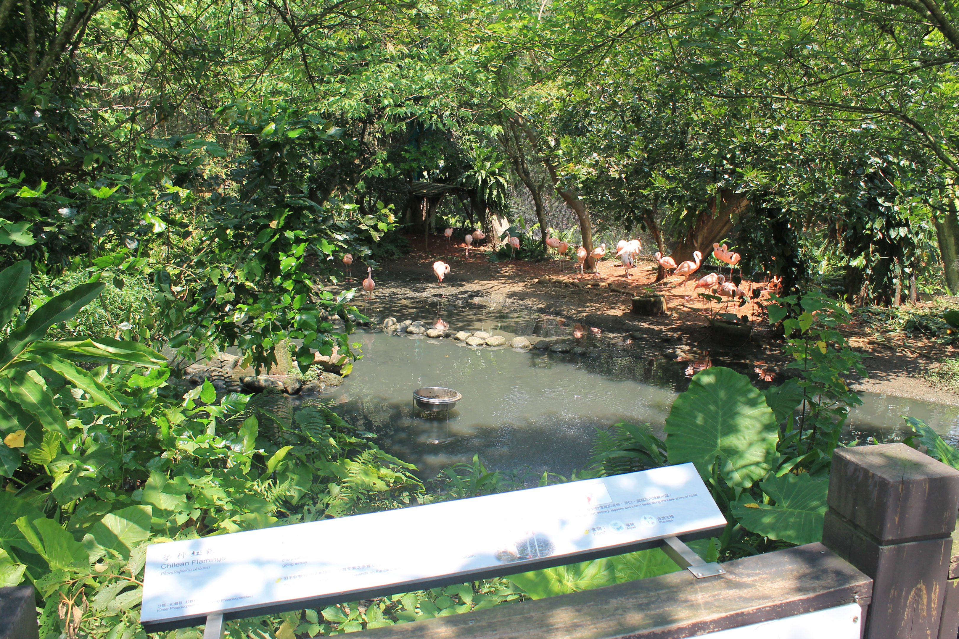 Bird World - first walk-through aviary