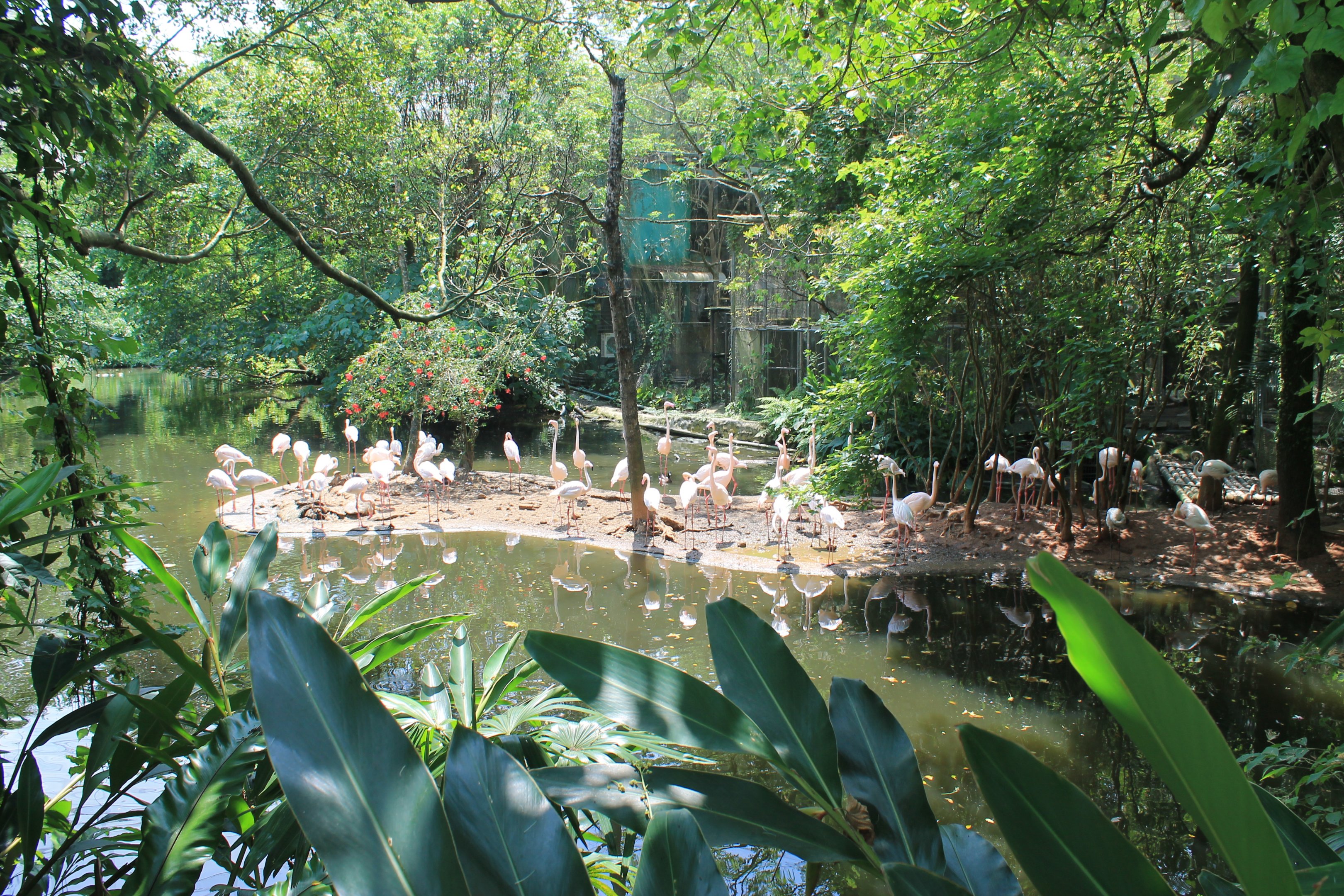Bird World - first walk-through aviary