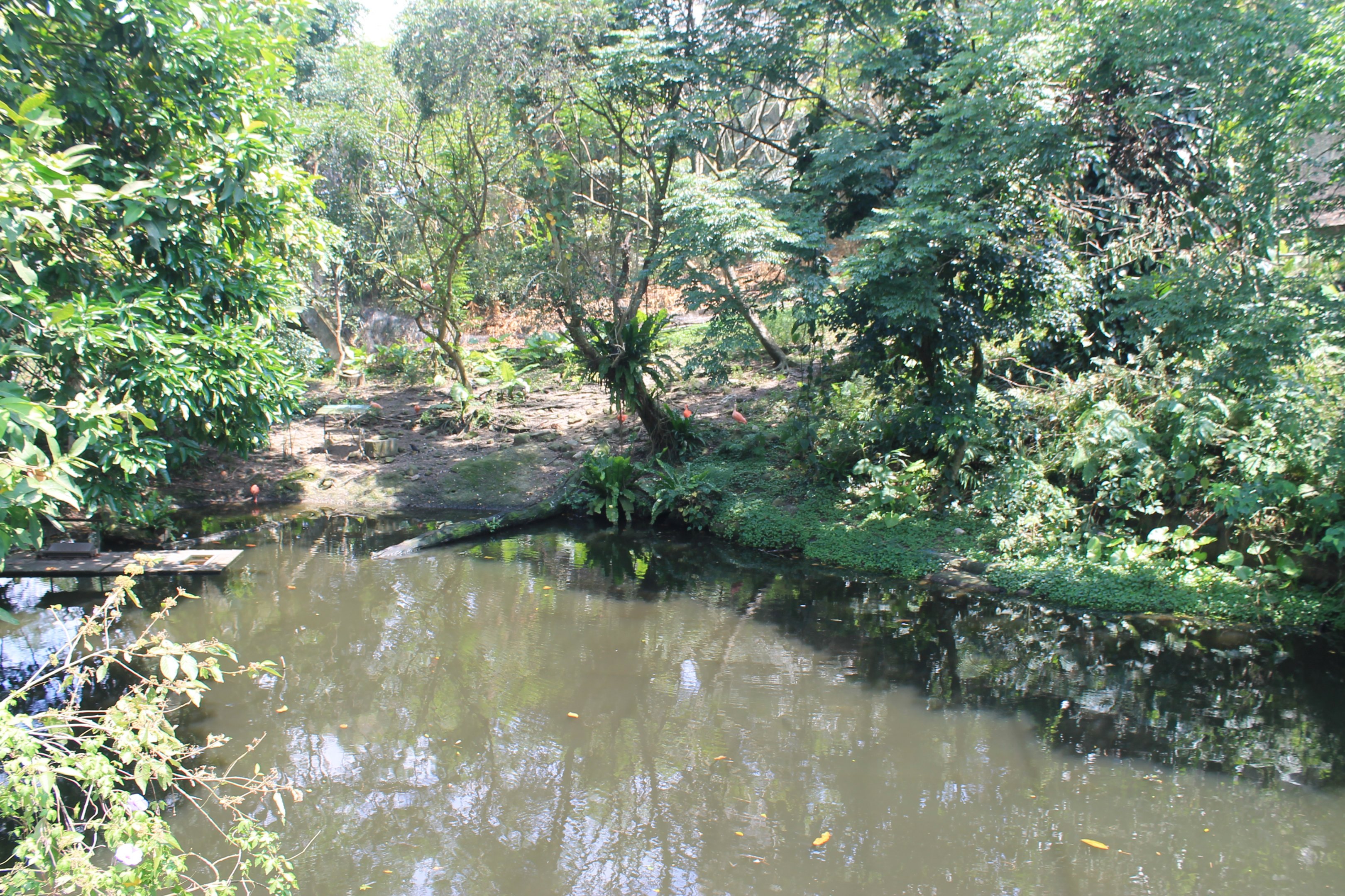 Bird World - first walk-through aviary