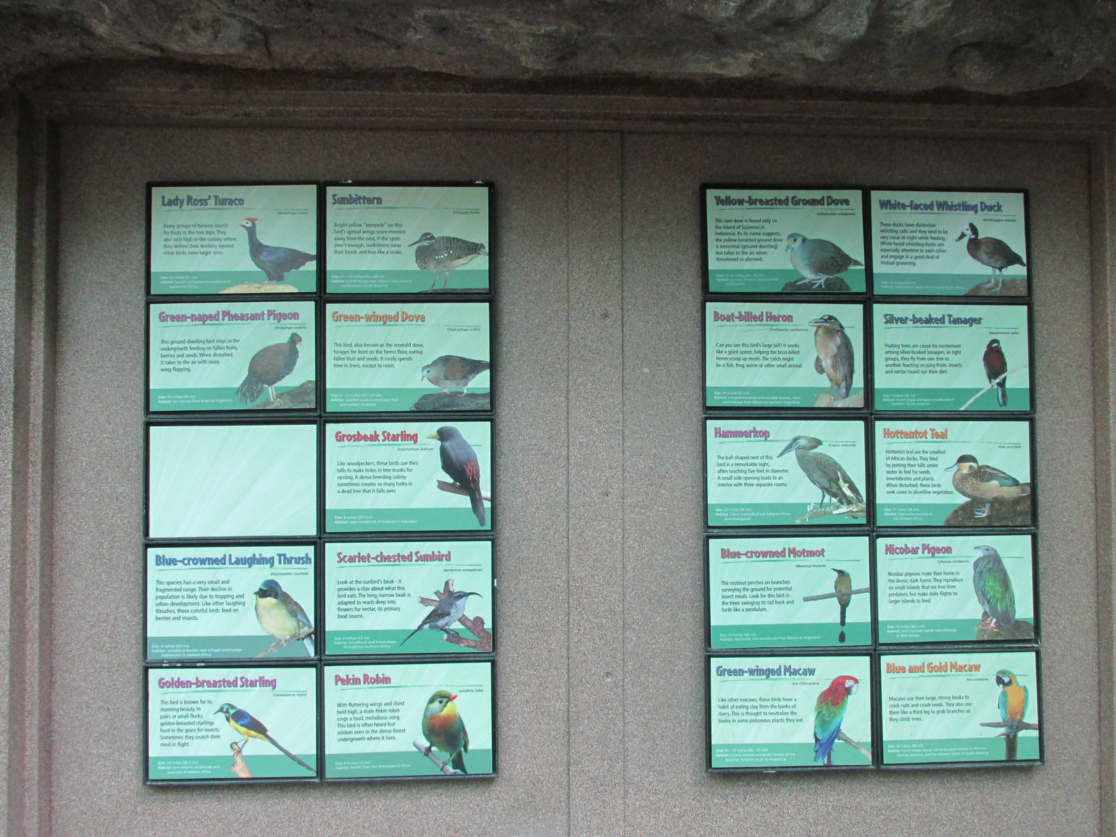 Bird World Forest Exhibit Species List