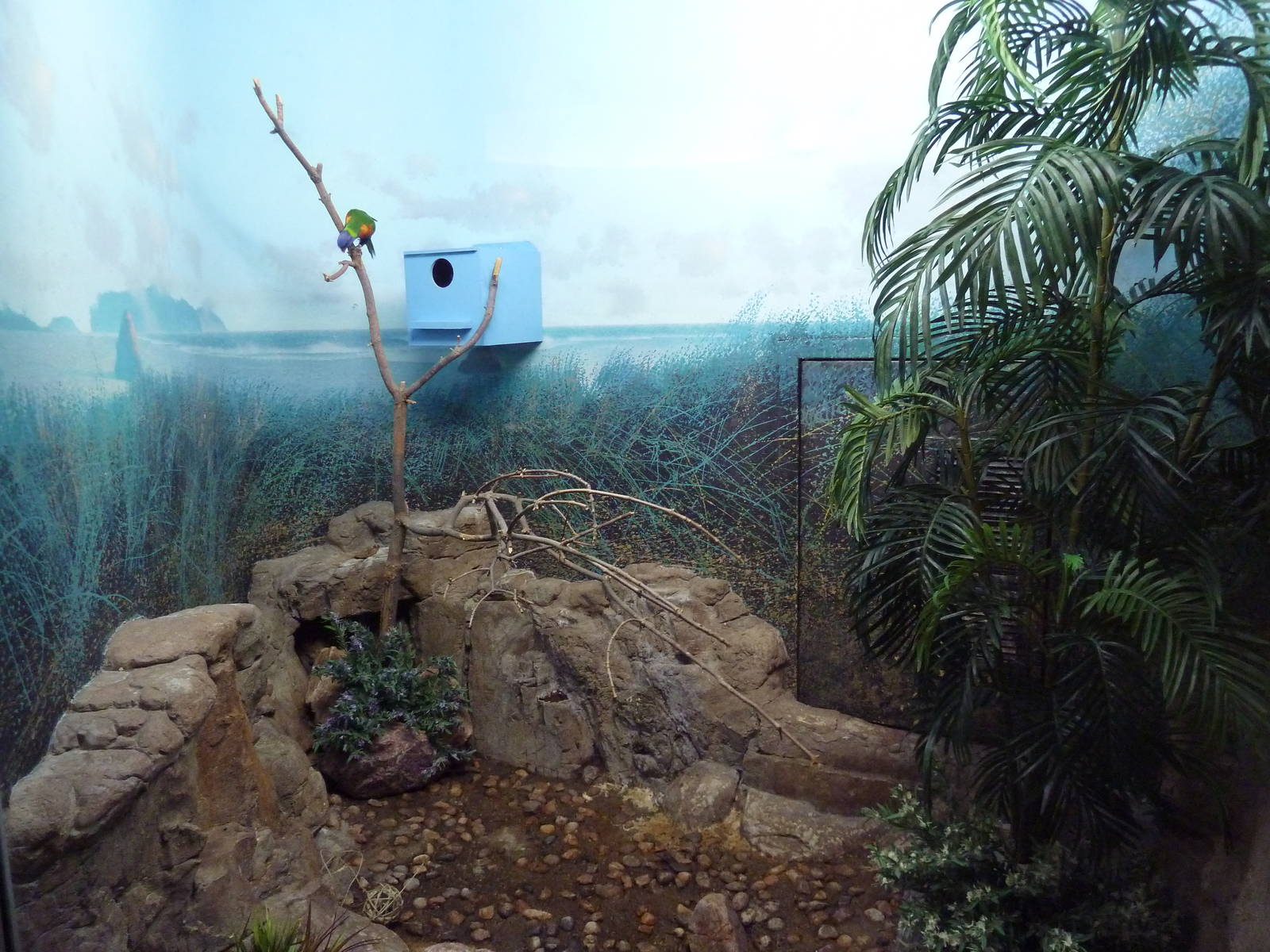 Bird World - Rainbow Lorikeet Exhibit