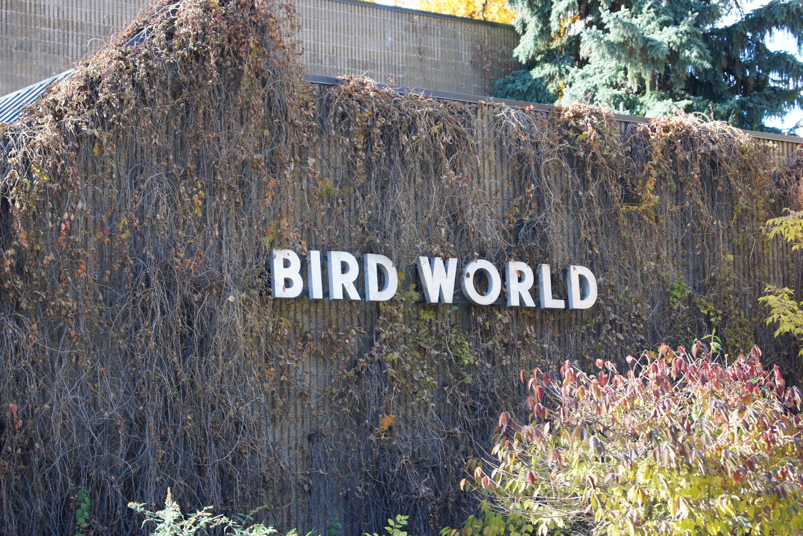 Bird World Sign