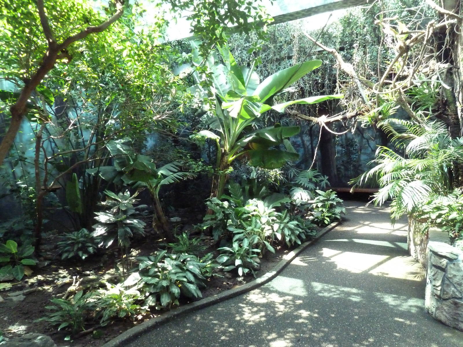 Bird World - Walk-Through Aviary