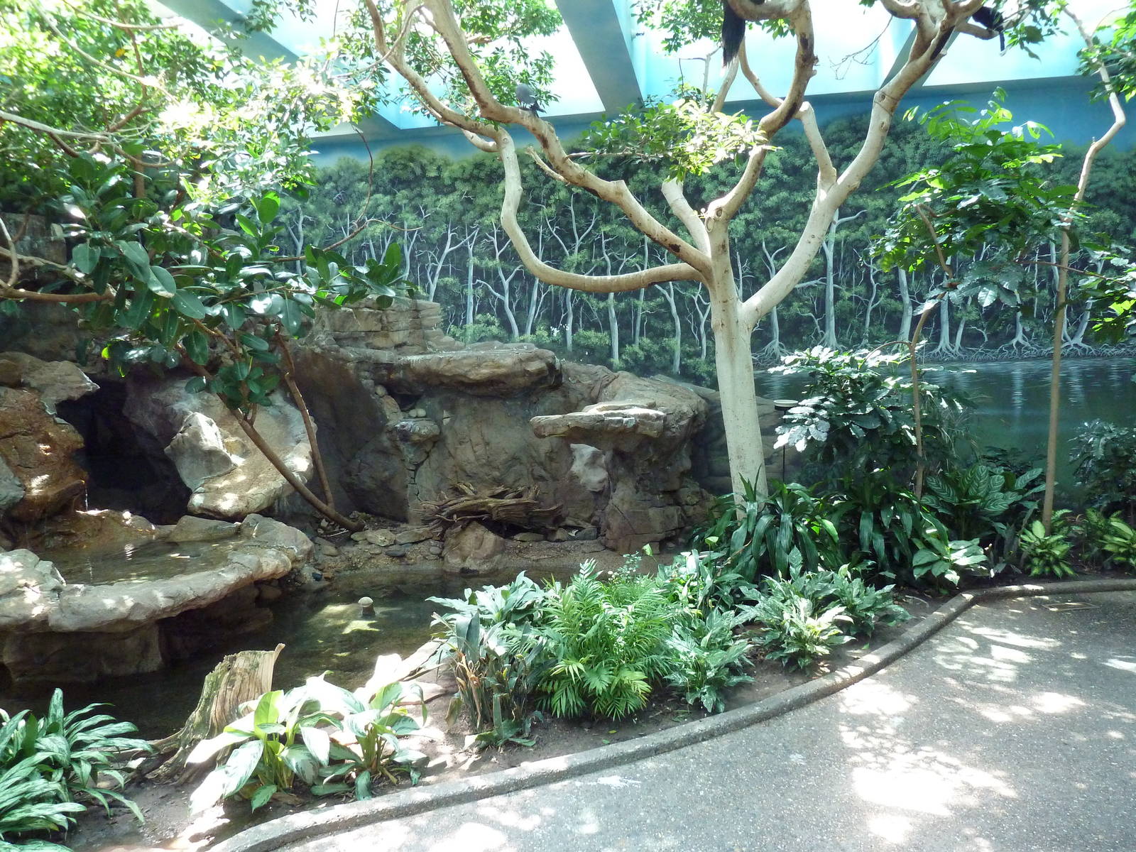 Bird World - Walk-Through Aviary