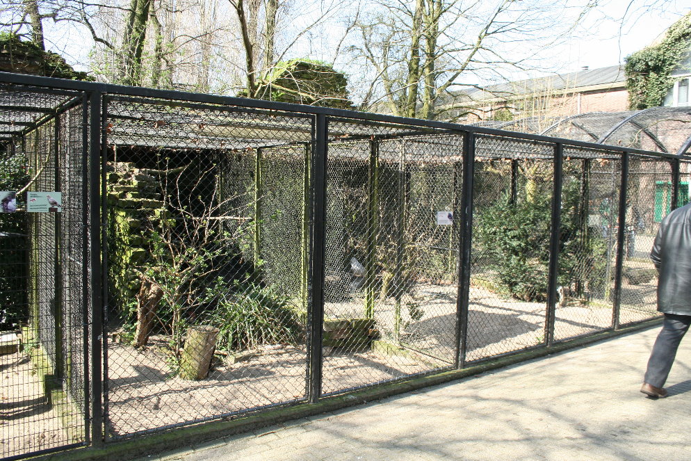 bird_enclosure1
