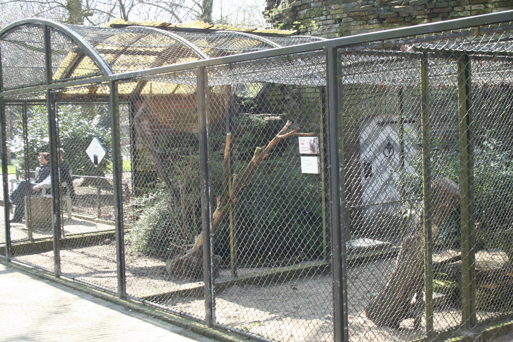 bird_enclosure2