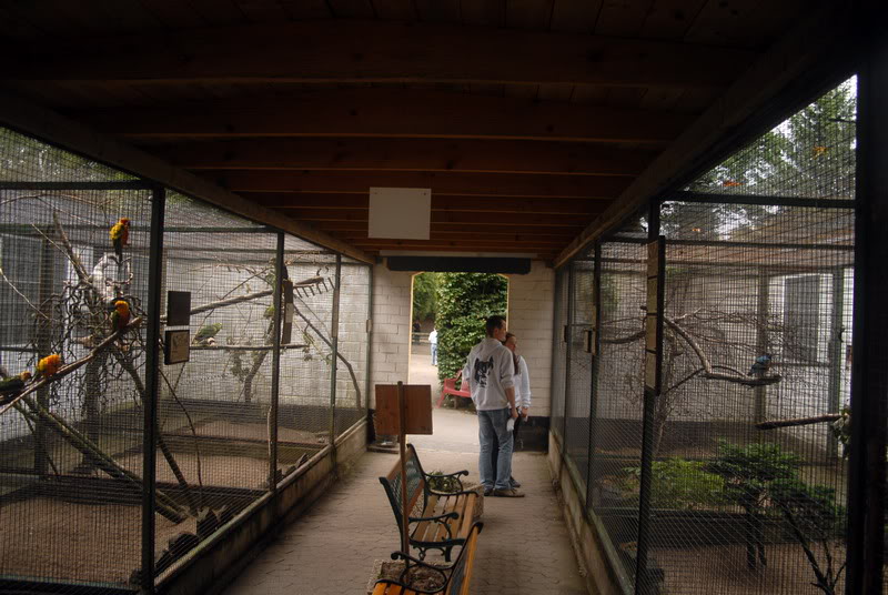 Birdcages at solingen