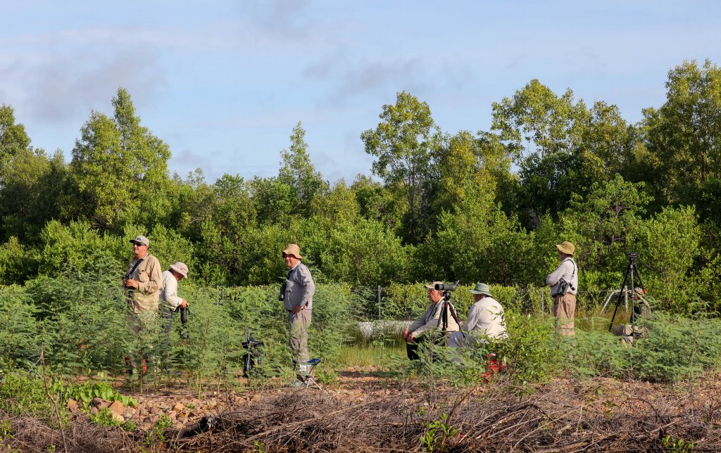 Birders on Boigu