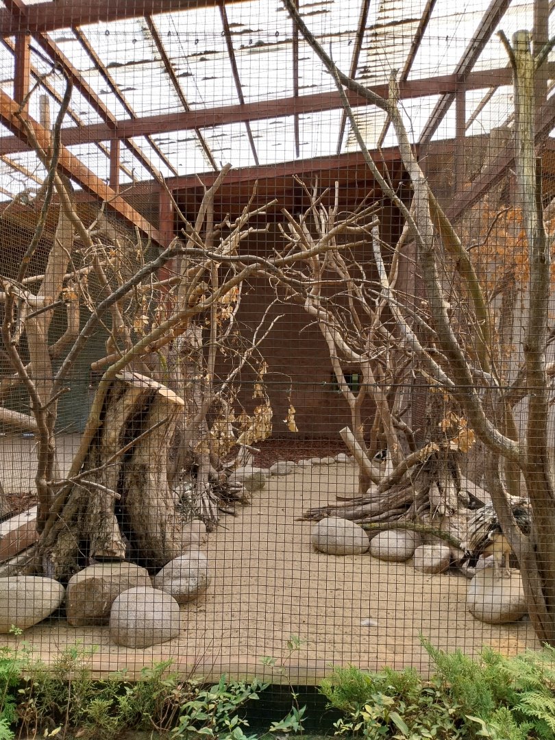 Birdhosue - Von der decken's Hornbill aviary